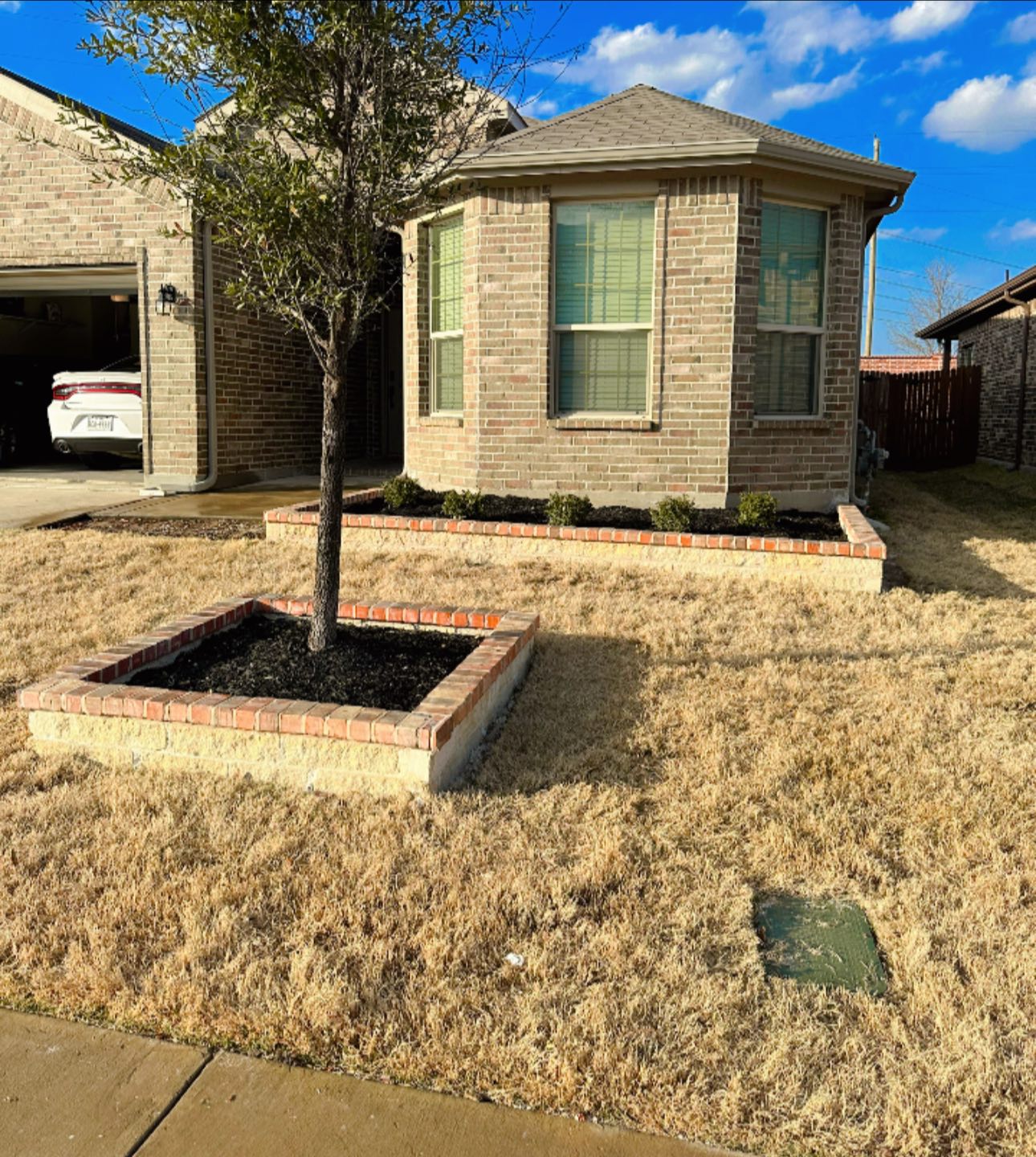 Raised brick flower bed with tree installation