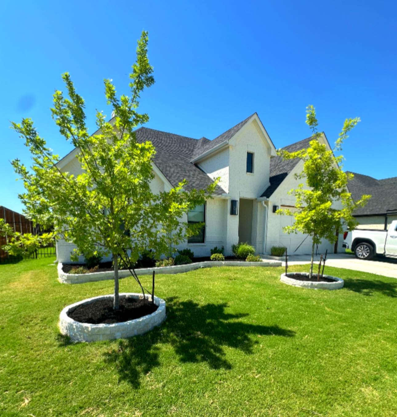 Front yard tree installation with circular stone planting beds